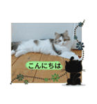 美少女ねねちゃん（個別スタンプ：17）