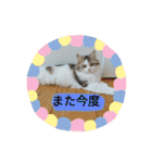 美少女ねねちゃん（個別スタンプ：23）