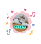 美少女ねねちゃん（個別スタンプ：24）