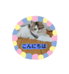 美少女ねねちゃん（個別スタンプ：36）