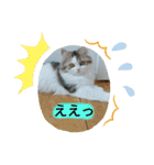美少女ねねちゃん（個別スタンプ：39）