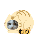美少女ねねちゃん（個別スタンプ：40）