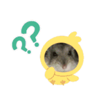 やんちゃなハムちゃん（個別スタンプ：3）