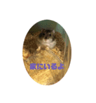 やんちゃなハムちゃん（個別スタンプ：4）