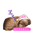 ゆずのスタンプ01012020（個別スタンプ：2）