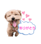 ゆずのスタンプ01012020（個別スタンプ：3）