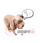 ゆずのスタンプ01012020（個別スタンプ：6）