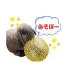 だいちゃん、、2（個別スタンプ：2）