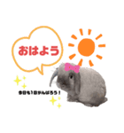 だいちゃん、、2（個別スタンプ：3）