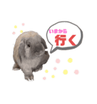 だいちゃん、、2（個別スタンプ：7）