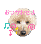 ブルドックの伝助くんとゆかいななかまたち（個別スタンプ：18）