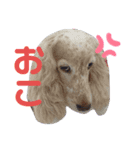 おかのず（個別スタンプ：8）