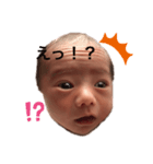 すいぽん（個別スタンプ：3）