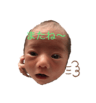 すいぽん（個別スタンプ：4）