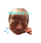 すいぽん（個別スタンプ：7）