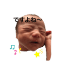 すいぽん（個別スタンプ：8）