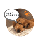 メルくんの日常①（個別スタンプ：3）