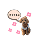 メルくんの日常①（個別スタンプ：5）