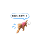 メルくんの日常①（個別スタンプ：6）
