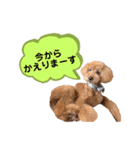 メルくんの日常①（個別スタンプ：9）