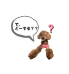 メルくんの日常①（個別スタンプ：13）