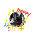 Siam furench（個別スタンプ：10）