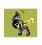 Siam furench（個別スタンプ：20）
