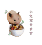 ハムスターのあいさつ言葉（個別スタンプ：2）