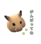 ハムスターのあいさつ言葉（個別スタンプ：9）