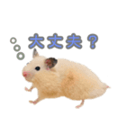 ハムスターのあいさつ言葉（個別スタンプ：14）