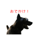 甘えんぼうな甲斐犬のスタンプ（個別スタンプ：4）