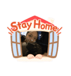 天佑 自粛ver（個別スタンプ：2）