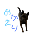 天佑 自粛ver（個別スタンプ：9）