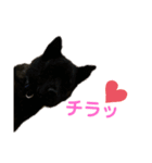 天佑 自粛ver（個別スタンプ：10）