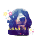 ここまろ♡♡（個別スタンプ：1）