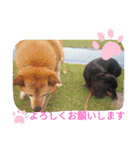 ここまろ♡♡（個別スタンプ：4）