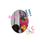 ここまろ♡♡（個別スタンプ：6）
