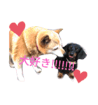 ここまろ♡♡（個別スタンプ：16）