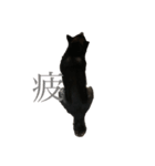 愛犬 黒柴 伍郎さん（個別スタンプ：8）