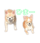 スムチ's（個別スタンプ：1）