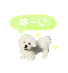 きゅむりん（個別スタンプ：3）