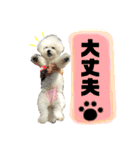 きゅむりん（個別スタンプ：4）