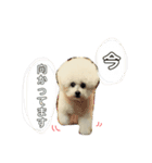 きゅむりん（個別スタンプ：10）