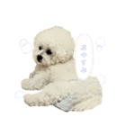 きゅむりん（個別スタンプ：13）