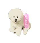 きゅむりん（個別スタンプ：14）