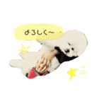 きゅむりん（個別スタンプ：15）