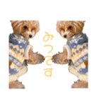 ここしゃんすたんぷ（個別スタンプ：8）