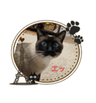 かつお＆ふぐ（個別スタンプ：1）