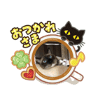 かつお＆ふぐ（個別スタンプ：7）