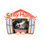 かつお＆ふぐ（個別スタンプ：8）